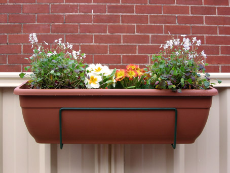 Planter on the fence