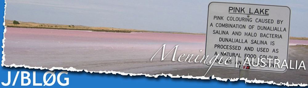 J/BLØG page header image